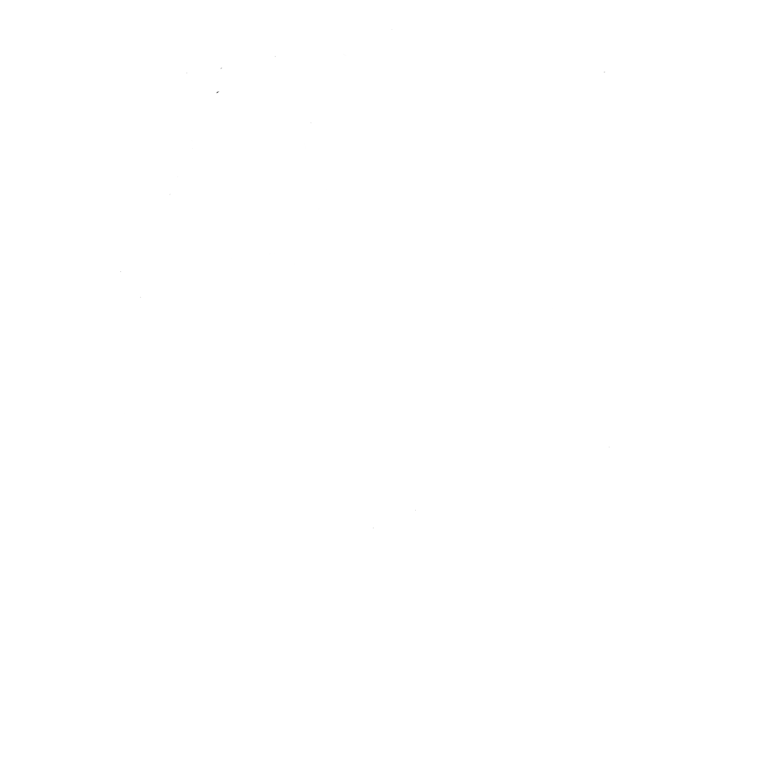 SKREE Band Logo